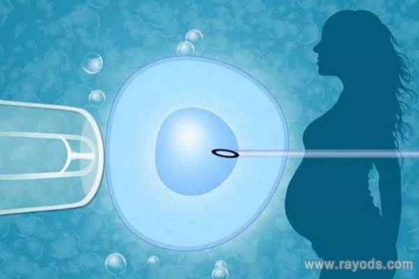 秭归县46岁供卵移植囊胚的成功率_泰国第三代试管助婴儿助孕，单胎竟比双胎好