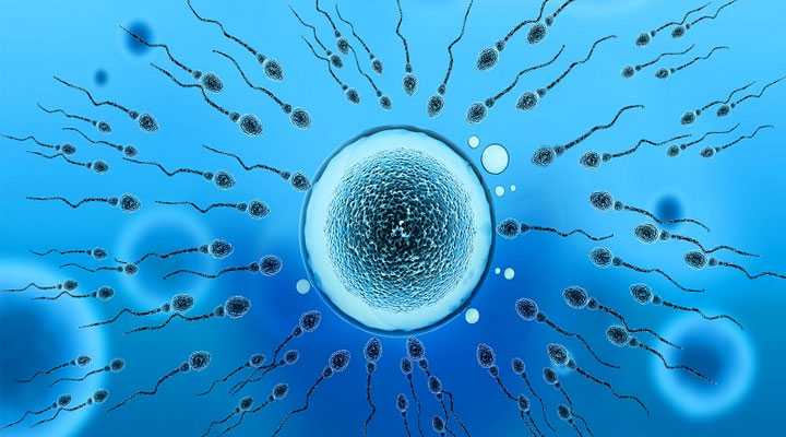 哪里有助孕产子_哪里有助孕生子的_未婚能不能在美国精子库申请供精试管？