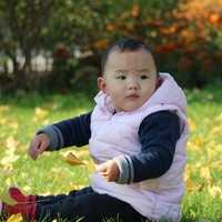 助孕手术检查费用_哪有助孕公司_北京医院做试管婴儿大概需要多久？