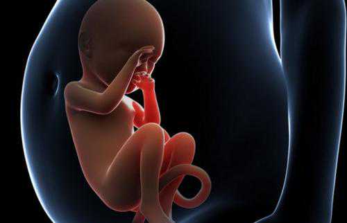 望花区坤和助孕中心地址_望花区助孕产子费用_美国试管婴儿单胚胎移植更有优