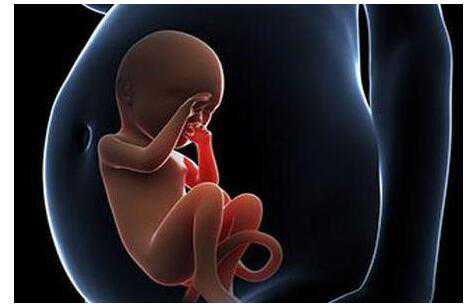 榆中县37岁供卵生娃成功率_优孕行：卵巢功能减退患者可通过美国试管婴儿提高