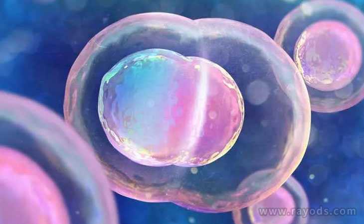 平江区48岁供卵做二代还是三代_美国试管婴儿冷冻胚胎可以保存多久
