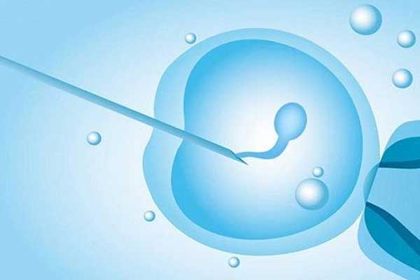 砚山县试管助孕的步骤_国内是同性恋是无法做试管婴儿,基本都是在外国做。