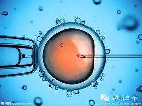 哪家助孕中介好_正规助孕_锦州试管婴儿胚胎移植成功！辽西首例！