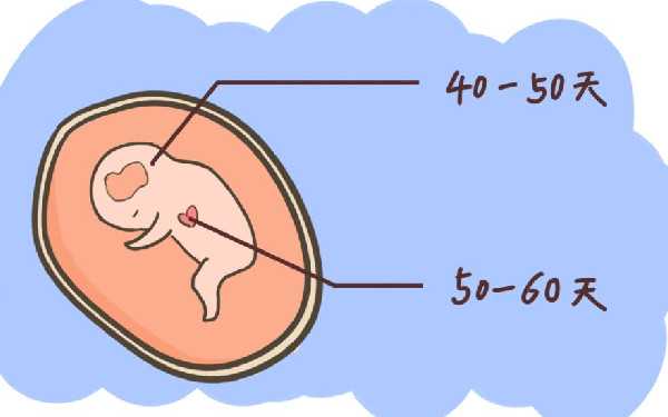 送子代怀网_代怀哪里便宜_单身未婚女性在拉萨买精子做试管婴儿要多少钱？
